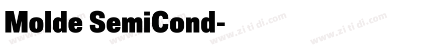 Molde SemiCond字体转换
